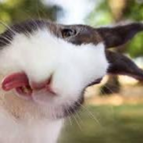 Meet your Posher, Laurence - Picture 1 of 1